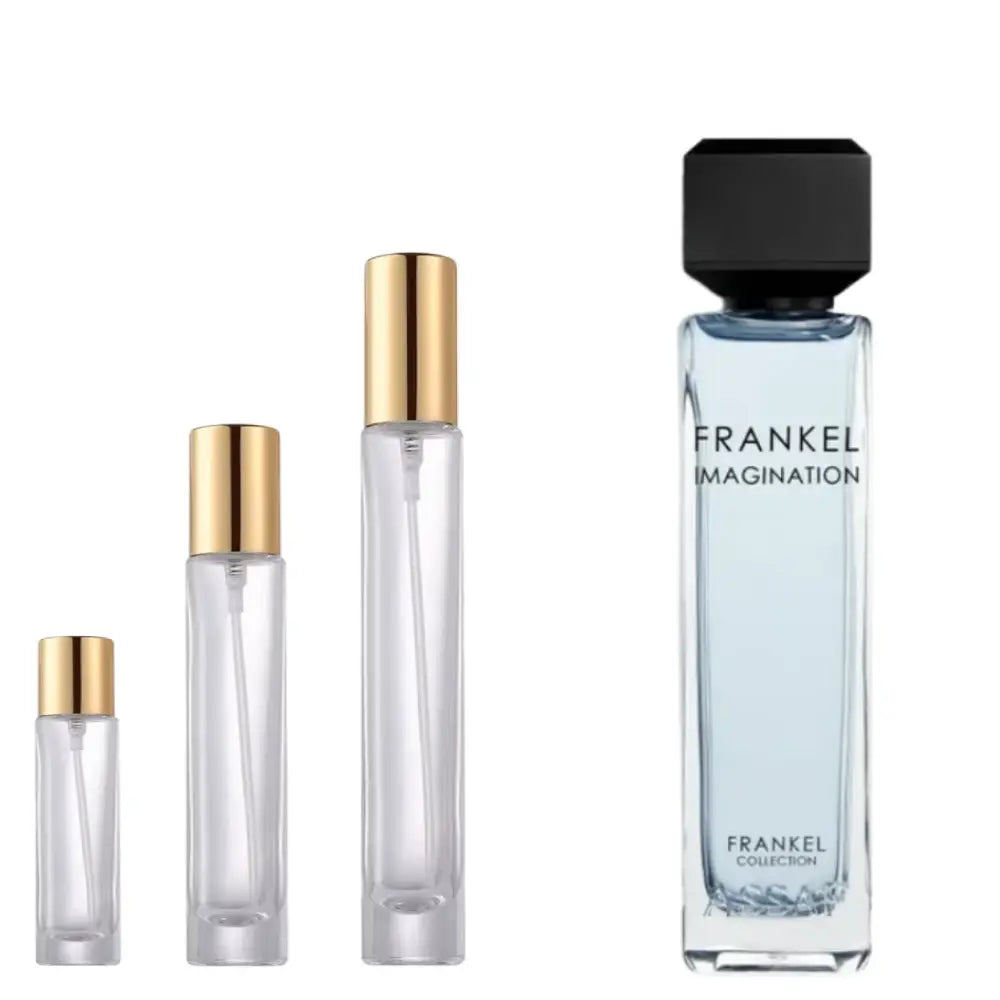 Assaf Frankel Imagination EDP